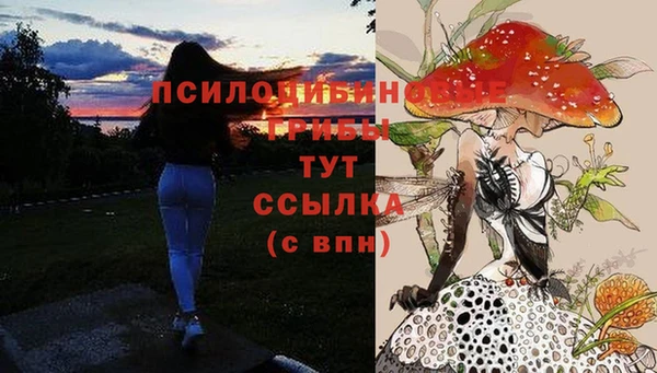 метамфетамин Няндома