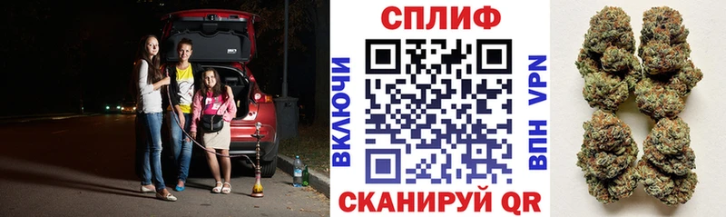 Бошки Шишки план Белоозёрский