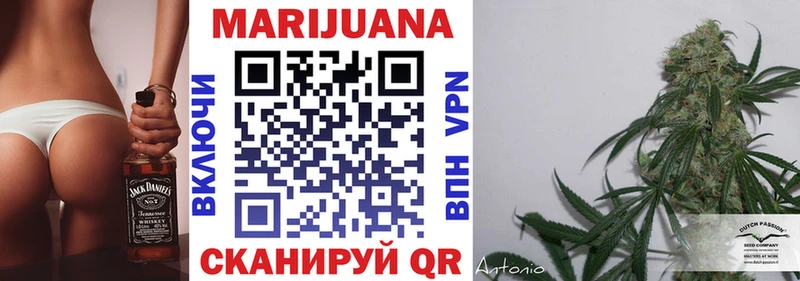 Канабис сатива как найти blacksprut зеркало Белоозёрский